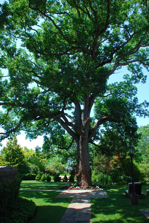 DSC_9653.JPG